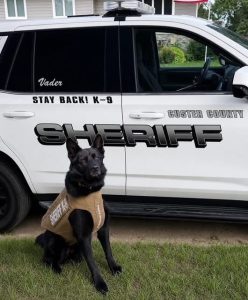 Custer County K9 Vader Receives Donated Protective Vest