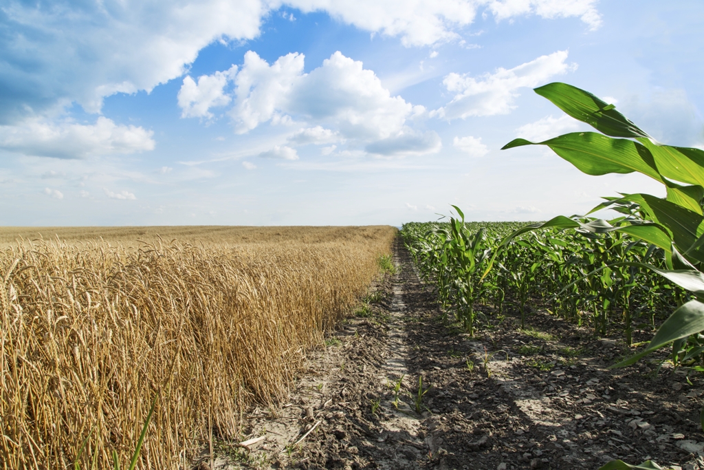 Farmers National: Slight Increase in Number of Land Buyers