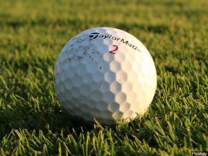 District Golf Results 5-19