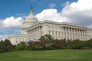 Senate farm bill draft moves forward, but key ag priorities remain unfinished
