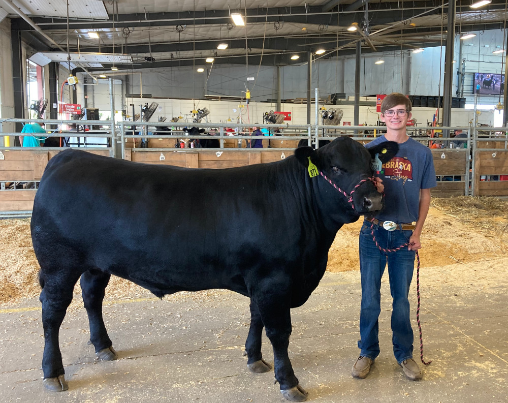 4-Hers reap benefits of Nebraska 4-H Fed Steer Challenge