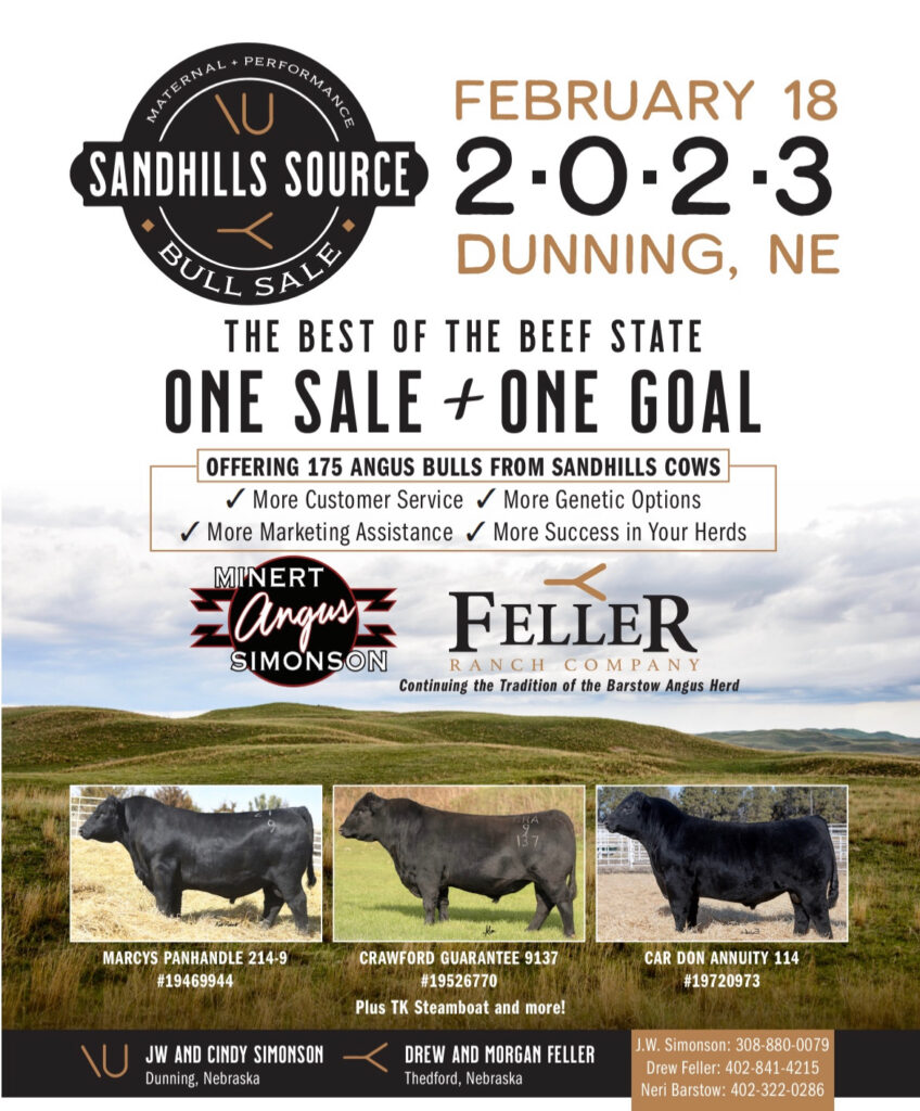 KRVN 880 KRVN 93.1 KAMI Auction Category Livestock