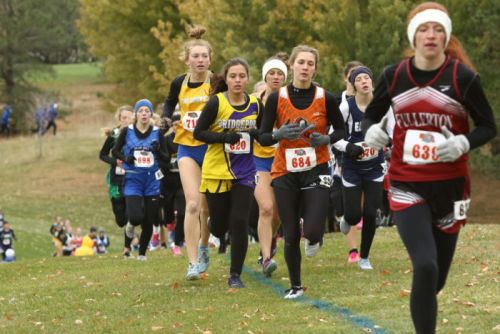 State Cross Country Results The Bull