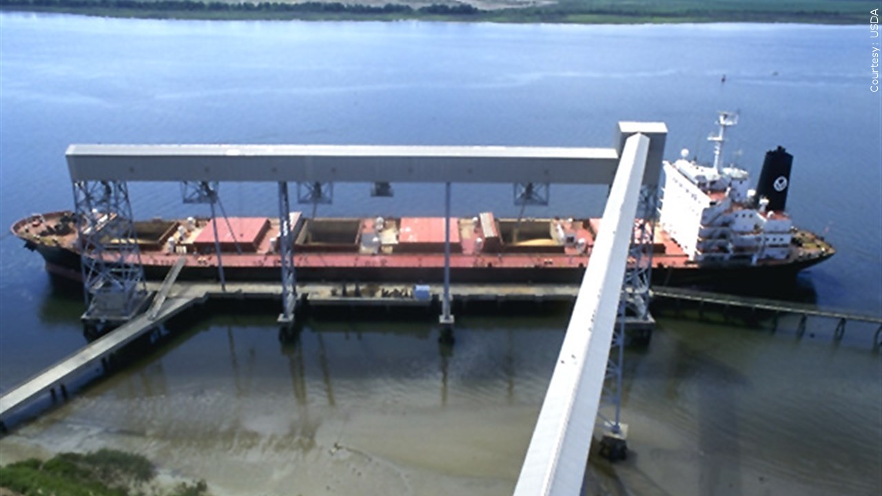 KRVN 880 – KRVN 93.1 – KAMI - First ship with Ukraine grain cleared to ...