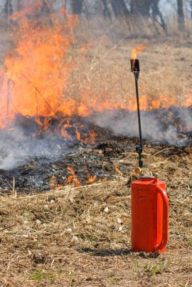 Prescribed burns planned for several WMAs, state park areas this spring