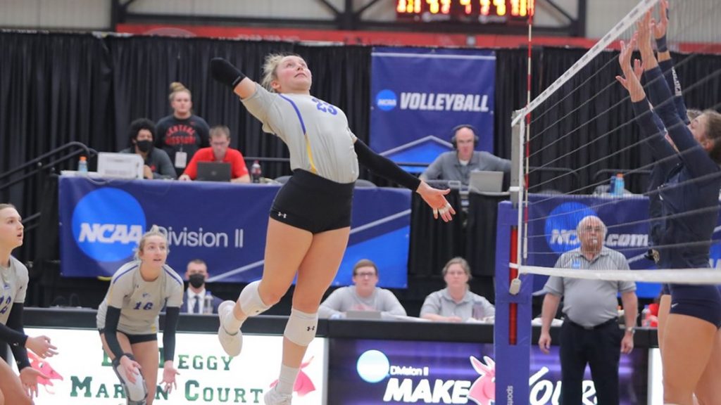 Lopers Come up Short to Bears