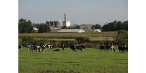 Nebraska cropland nears $10,000 an acre; Pasture values up 4%, USDA says