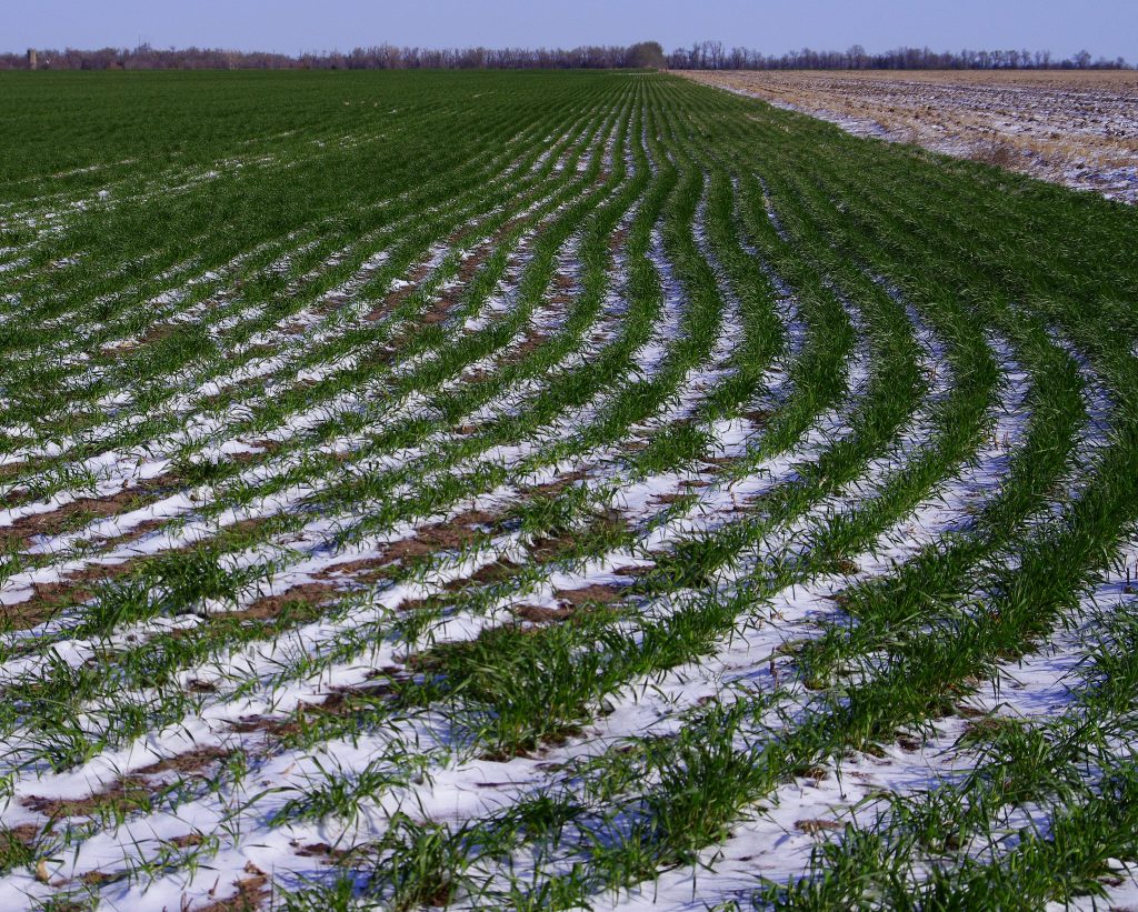 KRVN 880 KRVN 93.1 KAMI KAWG members discuss how winter weather