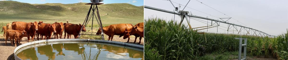 KRVN 880 – KRVN 93.1 – KAMI - Drought Disaster Declaration Opens ...