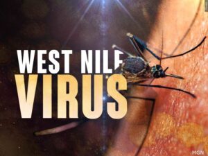 West Nile Virus Detected in Dawson County Mosquitos