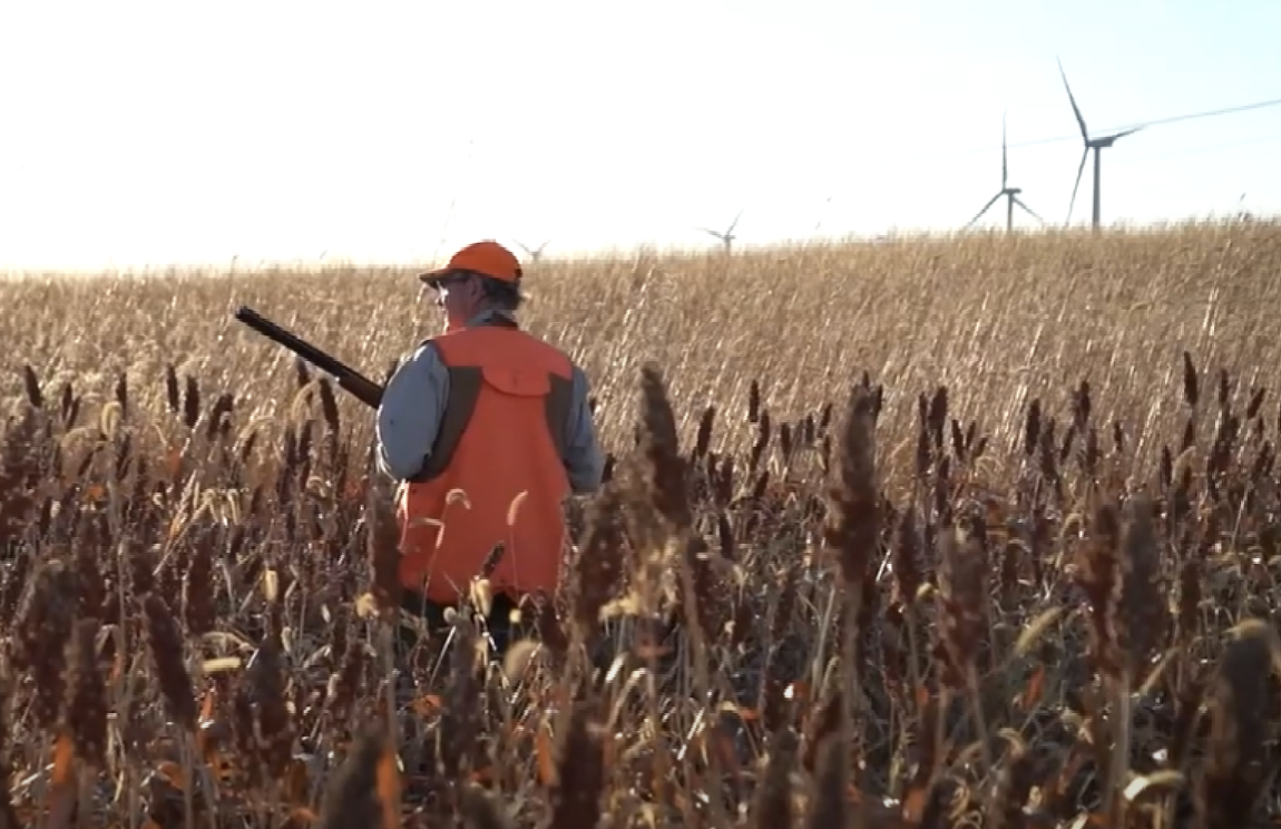 KRVN 880 – KRVN 93.1 – KAMI - Kansas Conservation Series: Wildlife ...