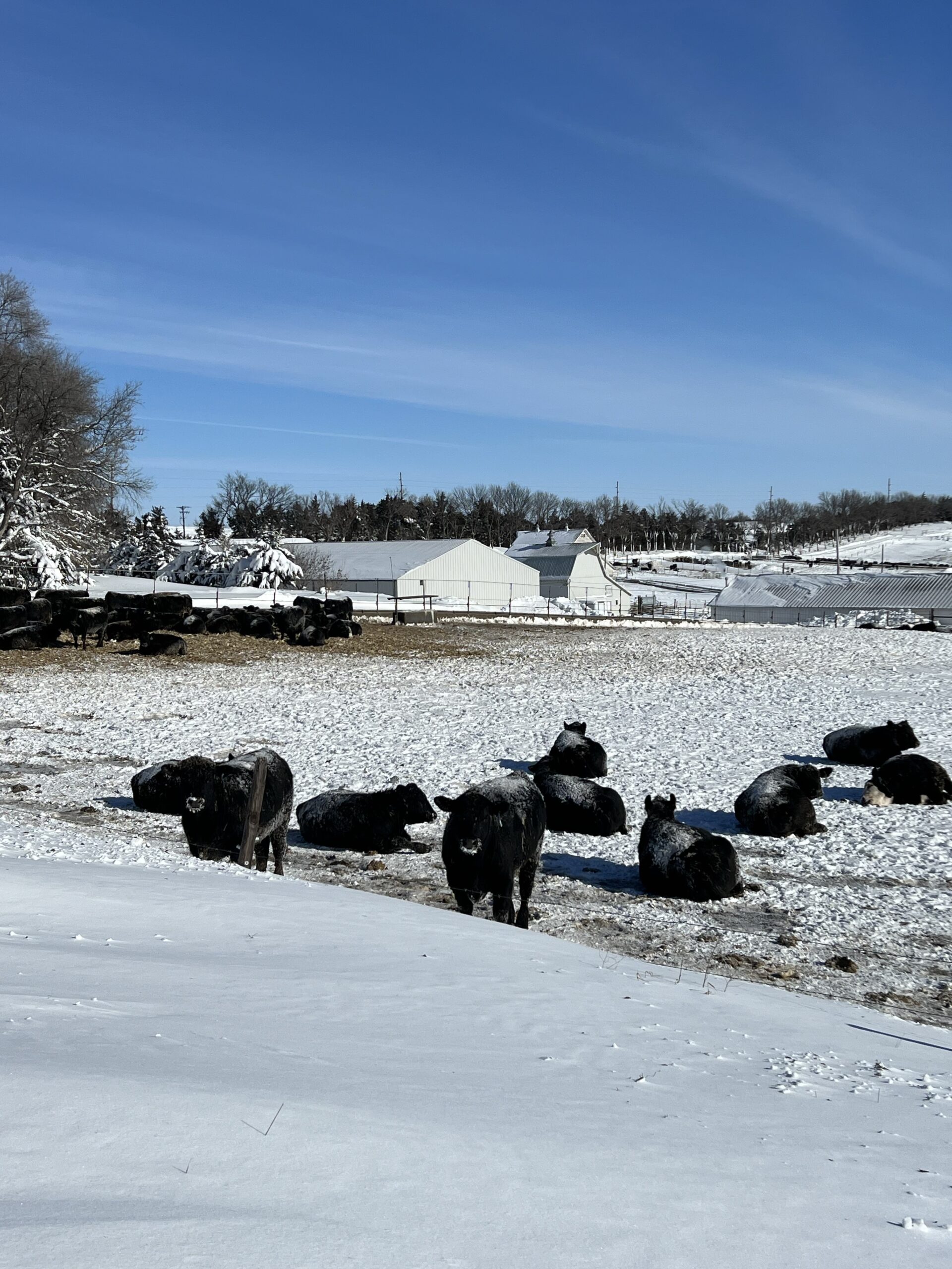 KRVN 880 – KRVN 93.1 – KAMI - Weather impact continues to weigh in 1|17 ...