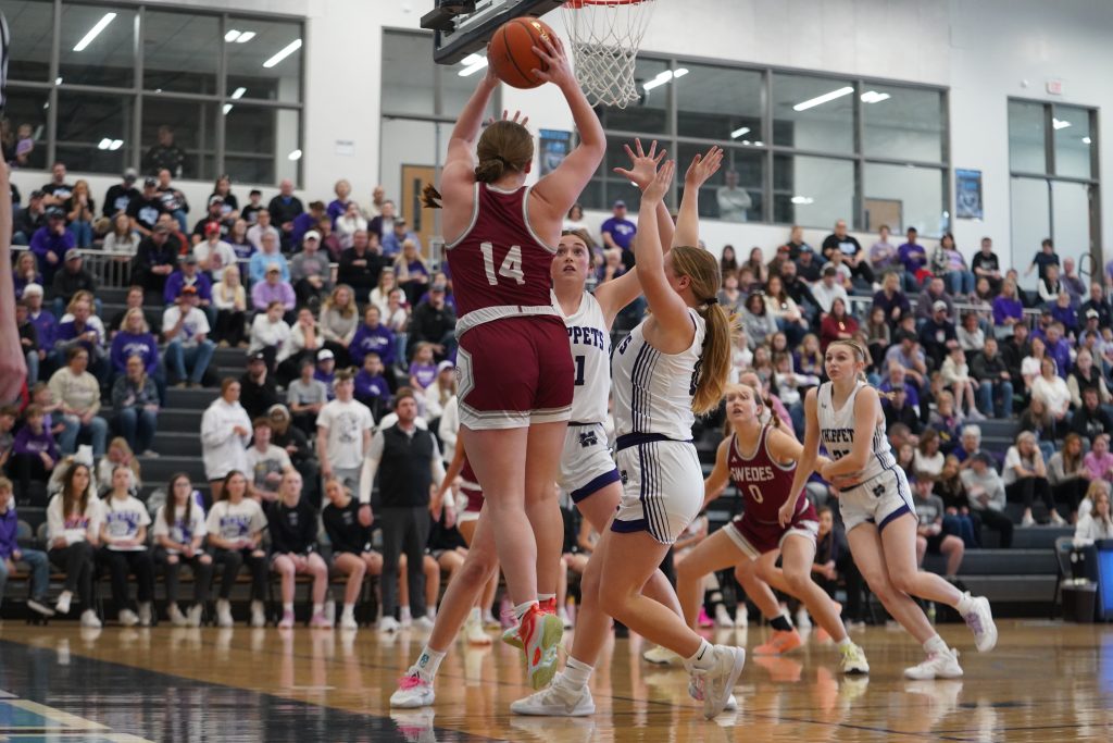 KRVN 880 – KRVN 93.1 – KAMI - Whippets down Swedes in state third place ...
