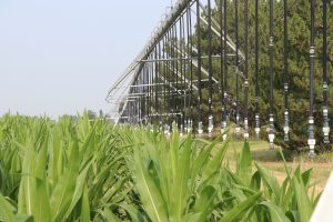 Nebraska soil health fund offering $2,500 grants for regenerative agriculture projects; applications due Oct. 1