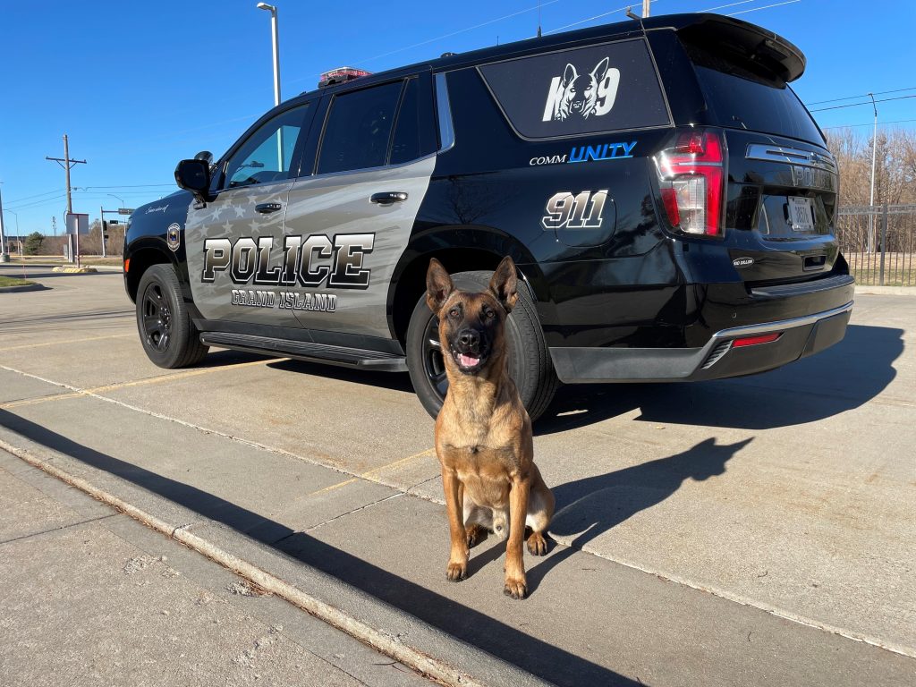 GIPD K9 “Mando” to Receive Donation of Body Armor