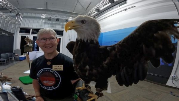 Three raptors die in fire at Aurora museum, eagle rescued