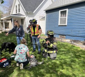 Family displaced, three dogs rescued following house fire in Hastings