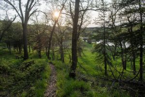 Register for annual Vanderheiden Run