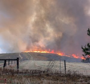 Pressey Fire Returned to Local Control; Agencies Continue Monitoring