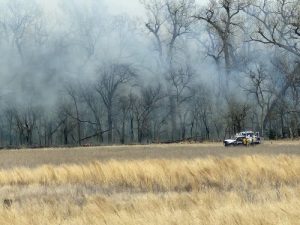USDA to Begin Accepting Applications for Emergency Conservation Program Assistance in Several Wildfire-Impacted Counties