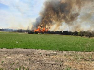 Fire Crews Continue Battling Pressey Fire in Custer County