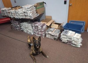 Troopers Find 525 LBs of Cocaine in I-80 Traffic Stop