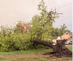 Destructive 70+ mph winds batter central and western Nebraska