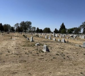 City of Lexington releases Greenwood Cemetery grass transition plan