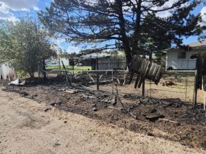 LVFD called to backyard fire call
