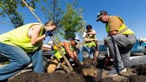 University efforts bolster Nebraska’s community tree canopy