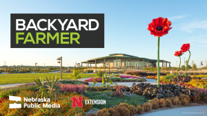 Nebraska Public Media’s Backyard Farmer to tape episode on Kearney