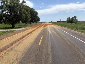 Distiller grain spillage east of Lexington