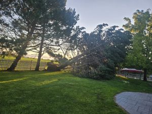 Damaging wind gusts rip through central Nebraska Thursday evening