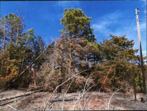 Road 739 fire lawsuits consolidated in Furnas County District Court