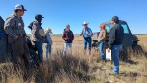 NCTA students put range management and stockmanship into practice at Noffsinger Ranch