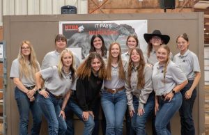 NCTA students gain real industry experience preparing Thoroughbred yearlings for auction