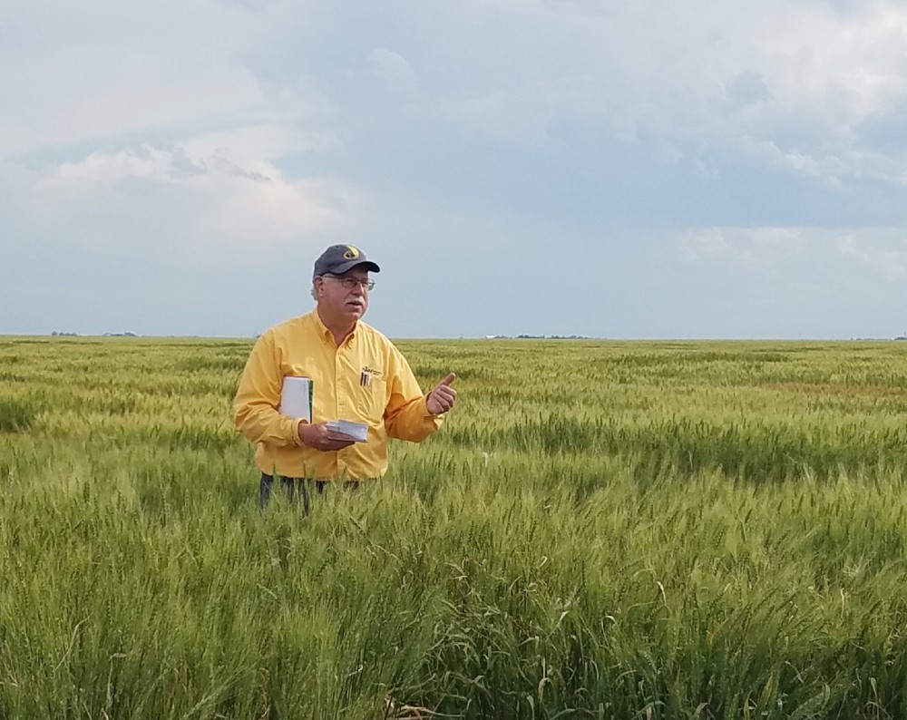 UNL Wheat Breeder Baenziger retires after 30 plus years at Nebraska