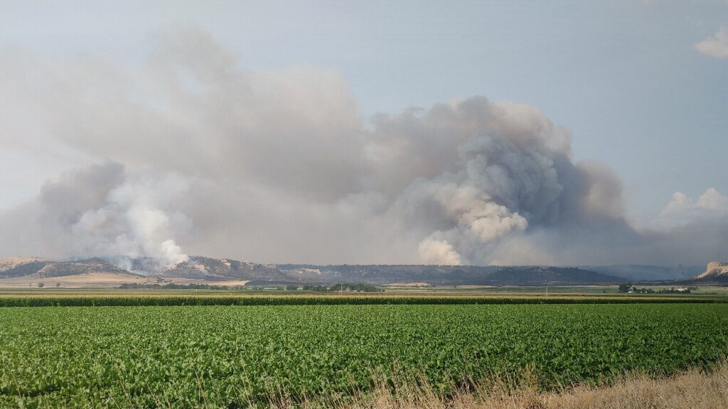 3 Homes Lost, 7 Damaged as Carter Canyon Fire Reaches 13,000 Acres