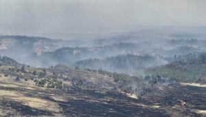 USDA Approves Disaster Loan Assistance for Nebraska Farmers Affected by Spring Wildfires