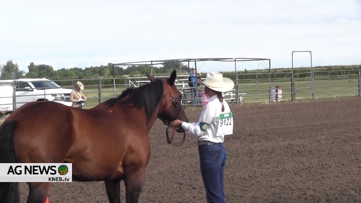 KNEB.tv Ag News Box Butte County Fair Horse Show  KOZY