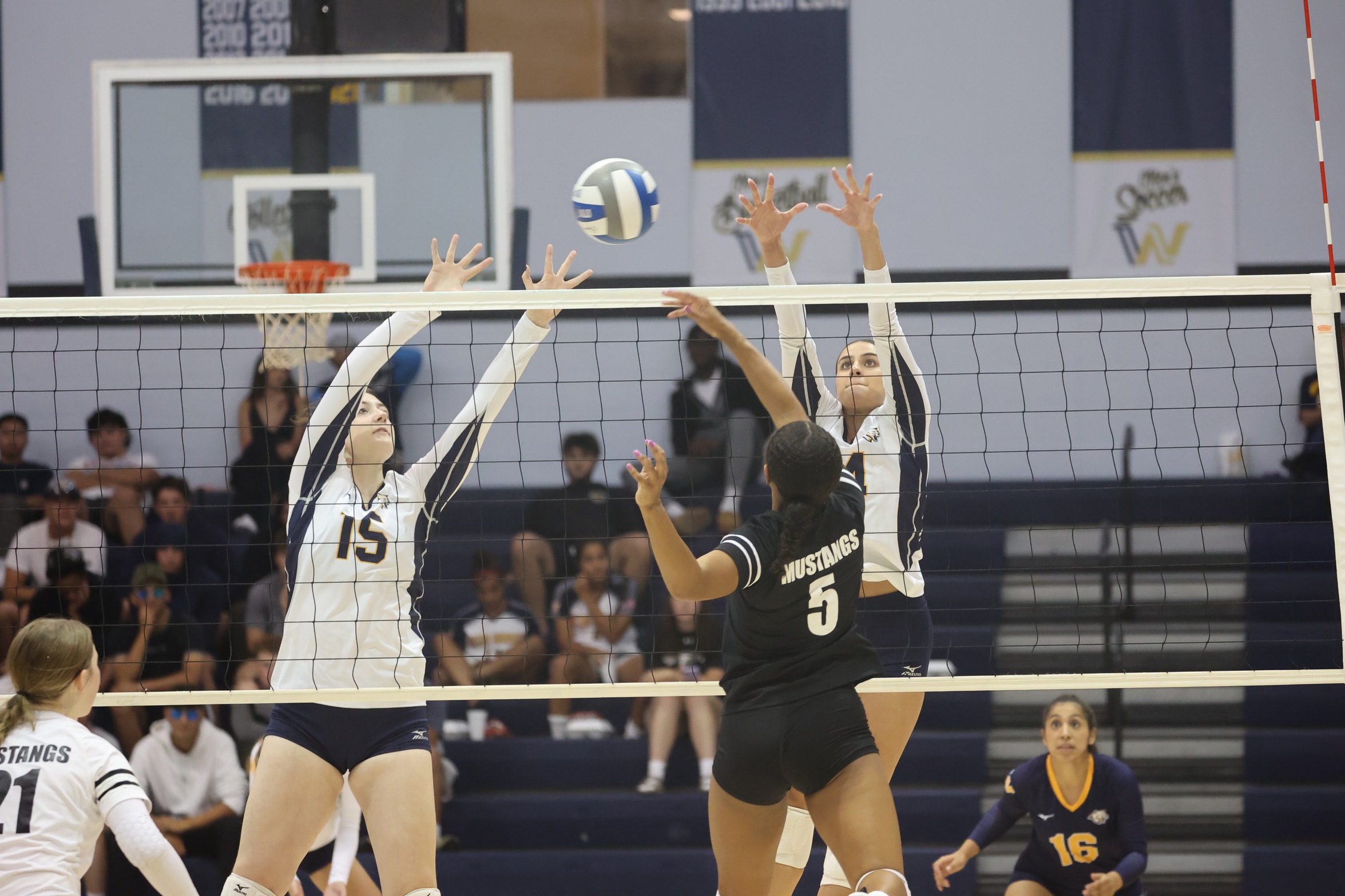 WNCC volleyball drops to No. 7; host Casper College Tuesday KOZY