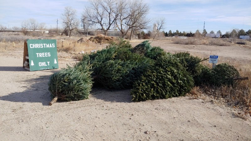 Gering, Scottsbluff announce Christmas tree recycling options.