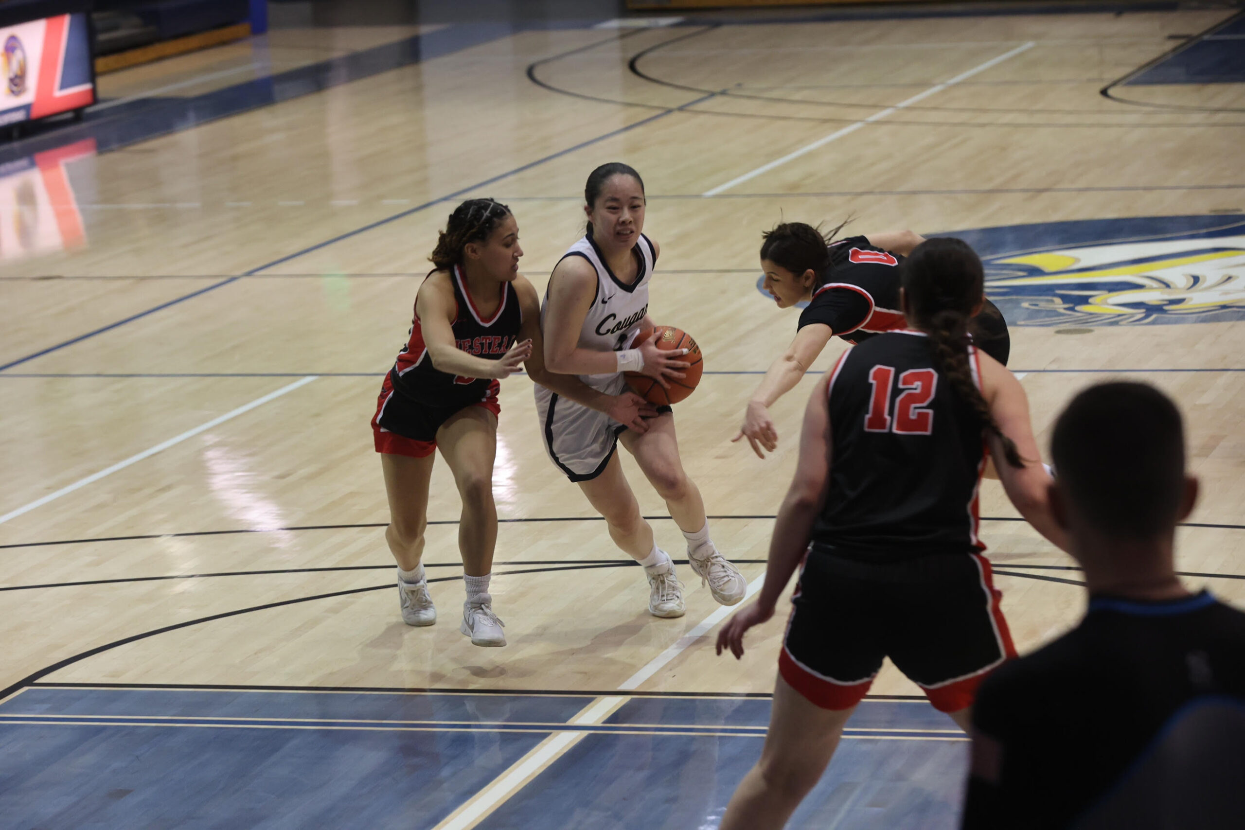 WNCC women fall to Western Wyoming at regional tourney KHYY