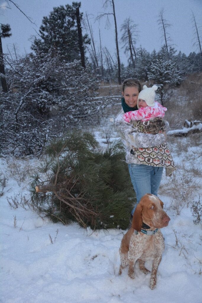 KMOR Pine Ridge Christmas Tree Cutting Permits on Sale