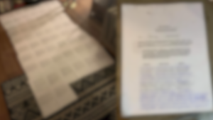Supporters of Constitutional Amendment to ban transgender athletes from female sports turn in petition signatures