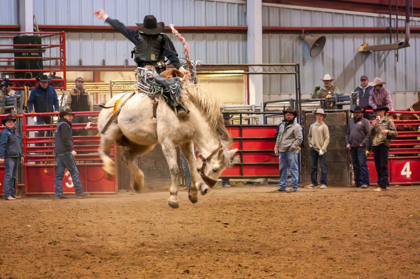 EWC rodeo hosts Saddle Bronc and Bareback Riding School