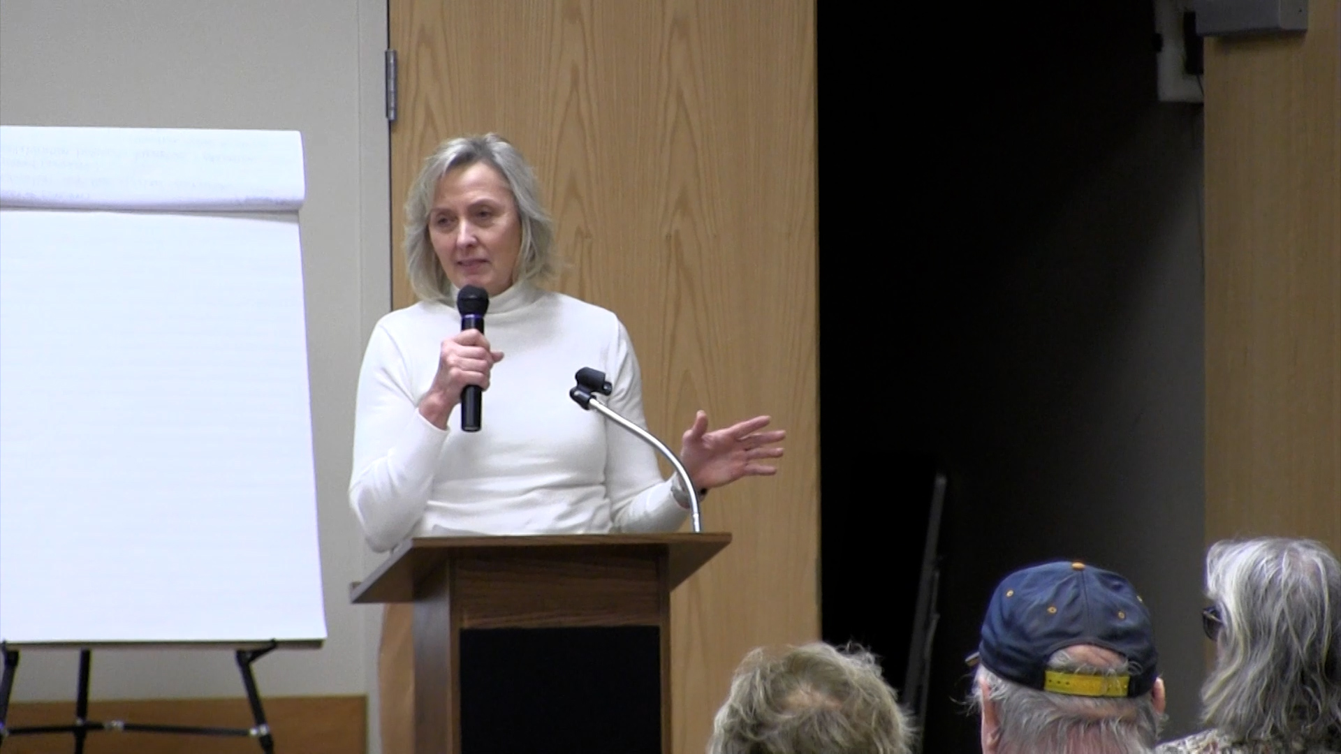 Lynne Walz Announces Run for Nebraska Governor