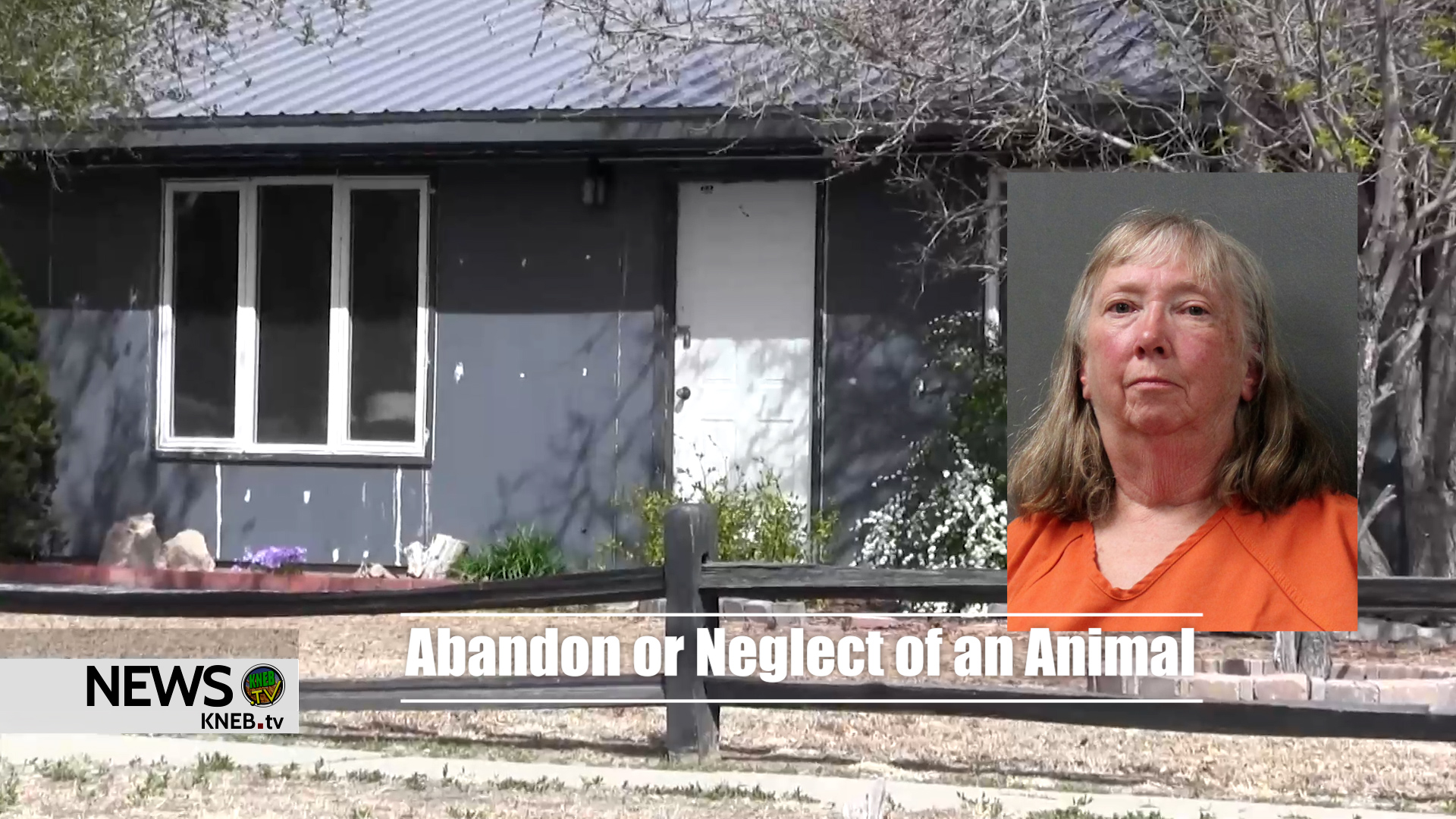 Bluffs Woman Charged with ‘Abandon or Neglect of an Animal’ Back in ...