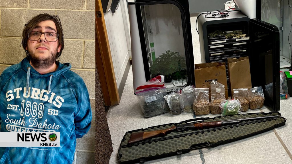 Marijuana Grow Operation Busted in Box Butte County