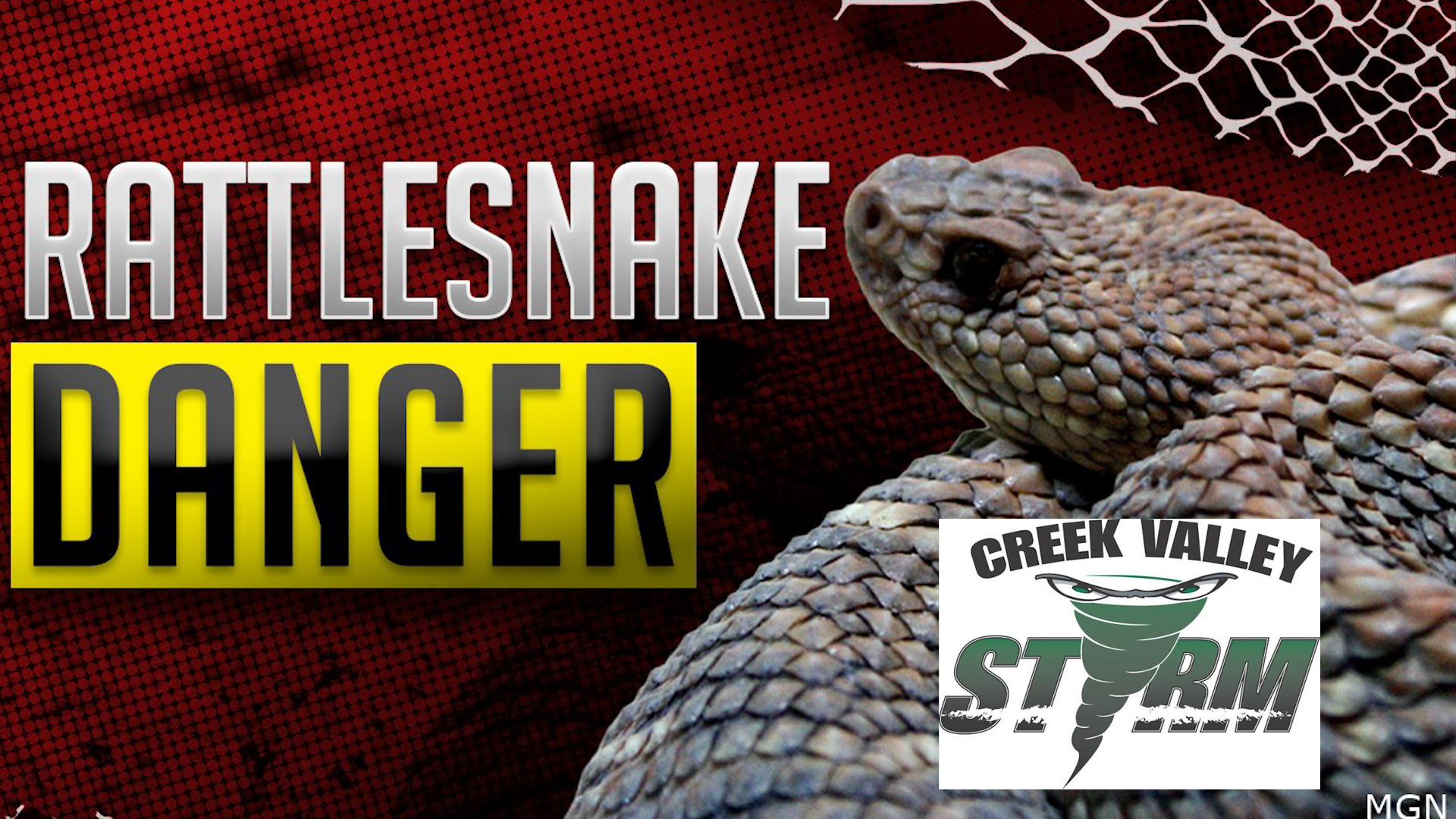 Rattlesnake Found Inside Western Nebraska Elementary School